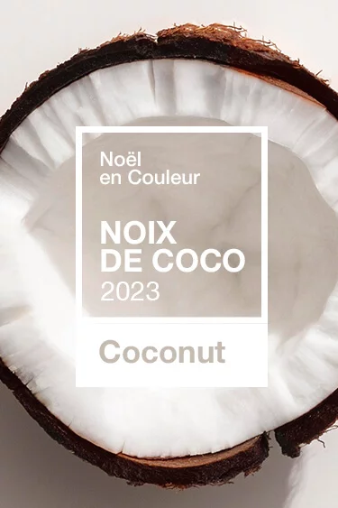 Idées cadeaux noel pas cher Coconut Idées cadeaux noel pas cher Coconut
